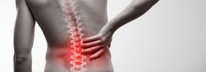 Network Spinal in Chiropractor Mt Kisco  NY