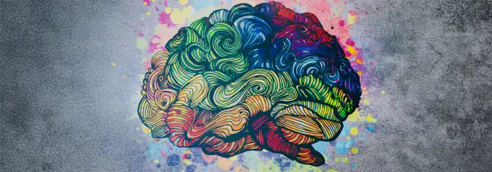 Waves That Rewire: How Network Spinal Unlocks Your Brain’s Infinite Potential In Mt Kisco NY