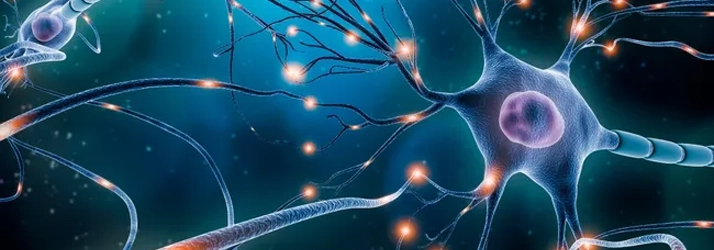 Conversations That Shape Your Nervous System