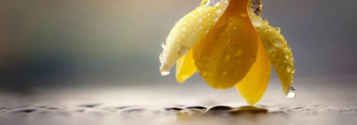 What Didn’t You Know That Your Central Nervous System Did?